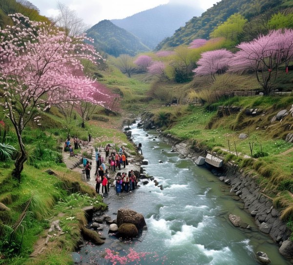 春天来了，四川农旅生态旅游的创新之旅
