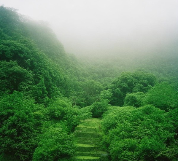 井冈山经济科技开矿新,时代机遇与未来前景 井冈山经济科技开矿新,时代机遇与未来前景